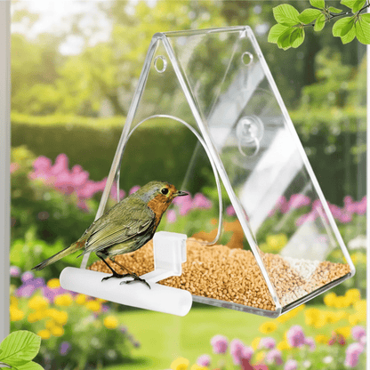 TRIFEED Acrylic Bird Feeder