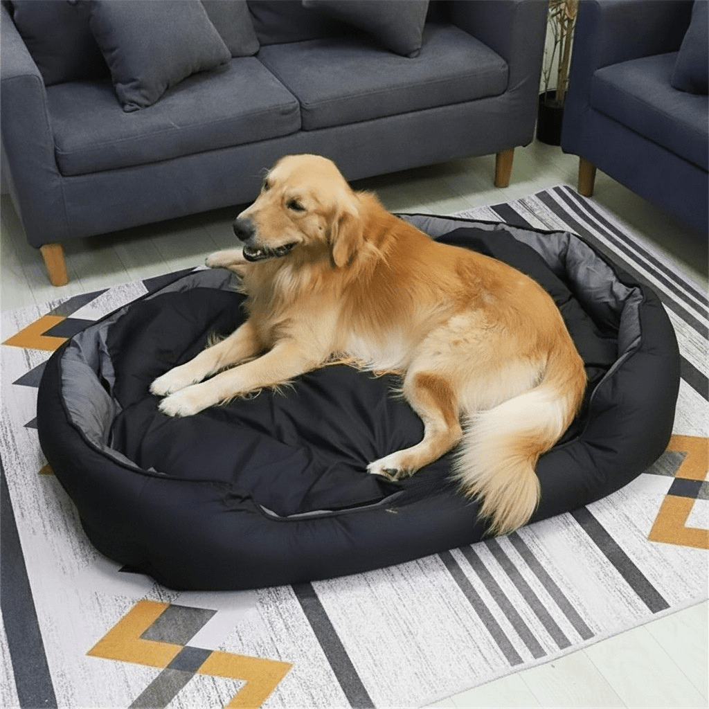 PETSOFA Orthopedic Foam Dog Bed
