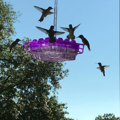 VOGELTRAUM Ant-Proof Nectar Feeder