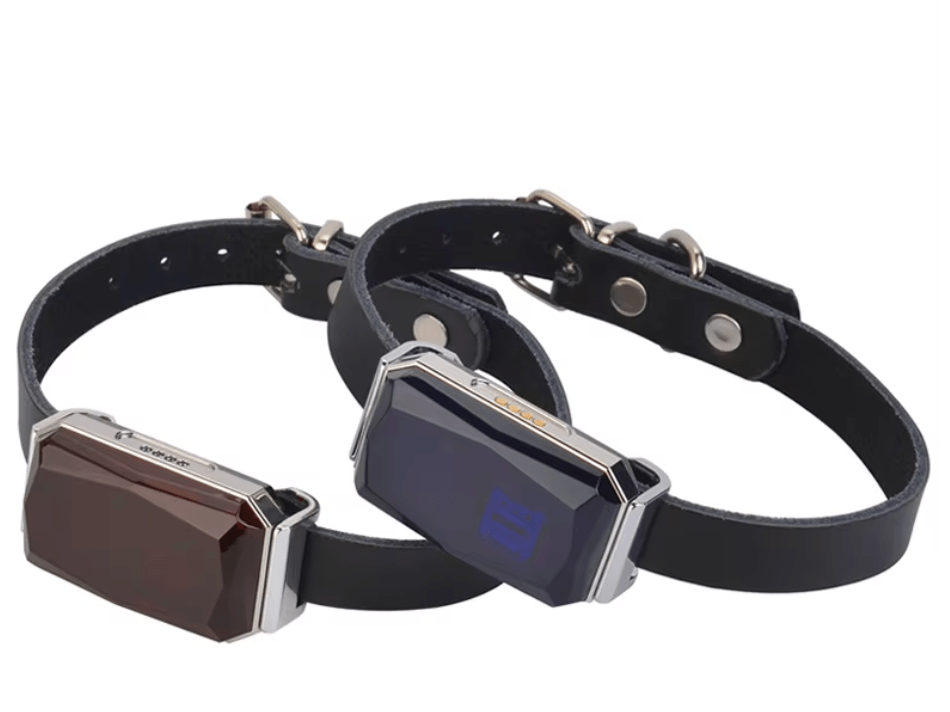 MiniTrack G12 Real-time GPS Tracker
