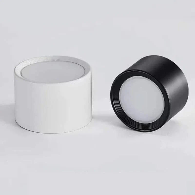 NORDICGLOW LED Ceiling Light