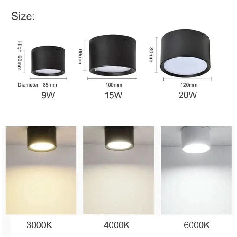 NORDICGLOW LED Ceiling Light