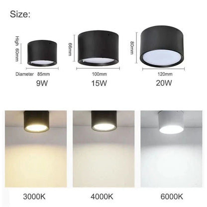 NORDICGLOW LED Ceiling Light