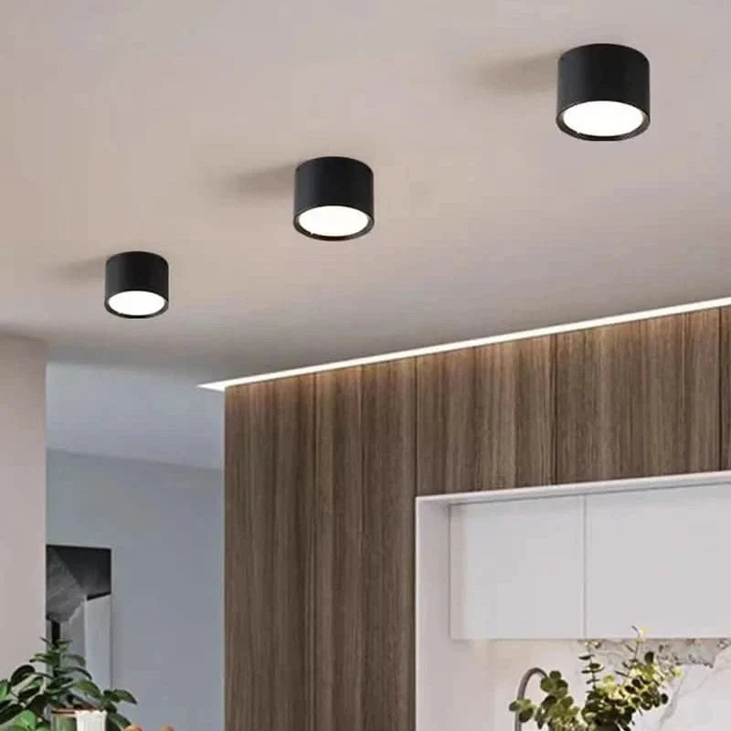 NORDICGLOW LED Ceiling Light