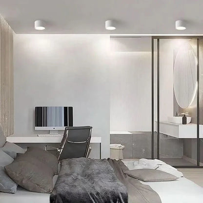 NORDICGLOW LED Ceiling Light
