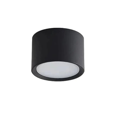 NORDICGLOW LED Ceiling Light
