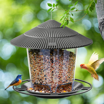 HOLEFEED Automatic Bird Feeder