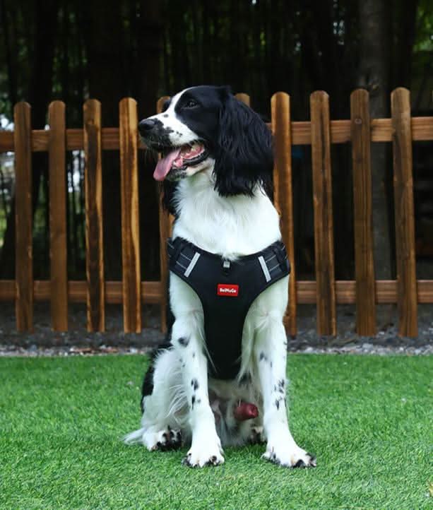 WalkEase Harness Anti-pull Dog Harness