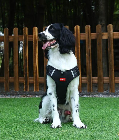WalkEase Harness Anti-pull Dog Harness