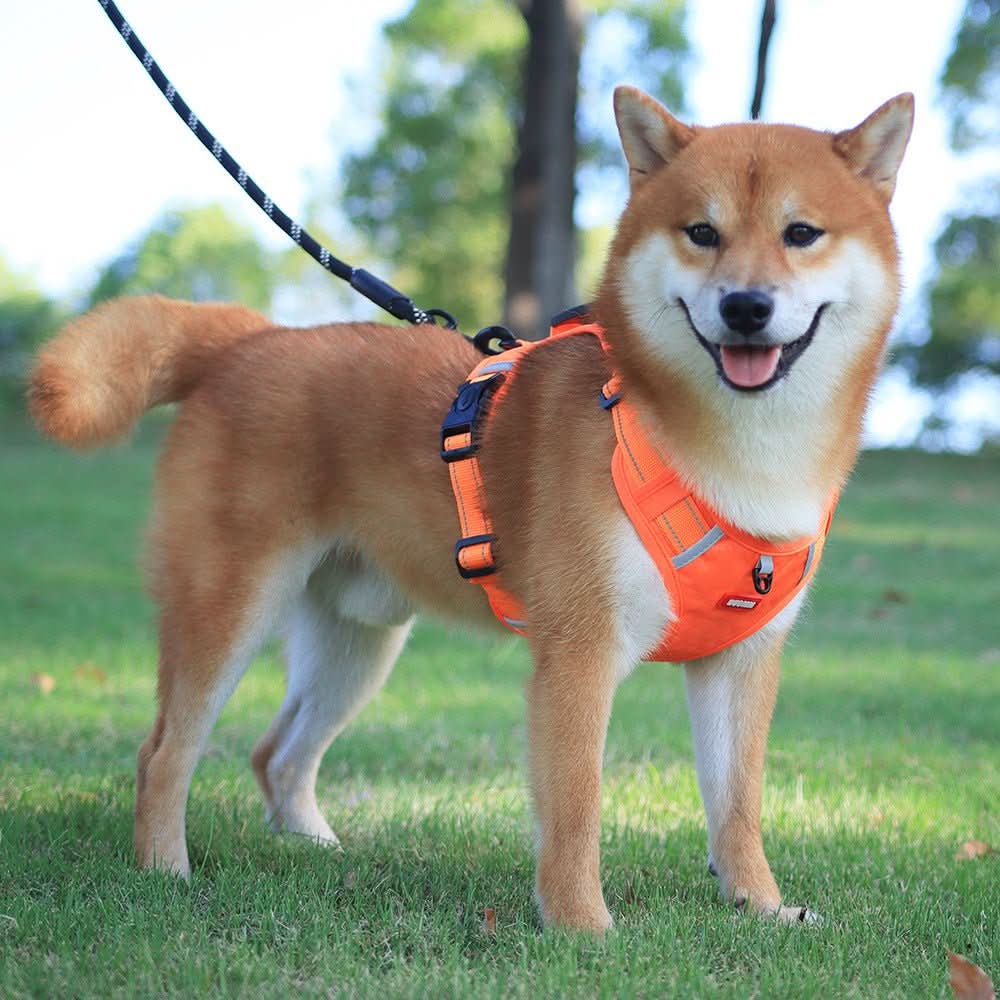 WalkEase Harness Anti-pull Dog Harness