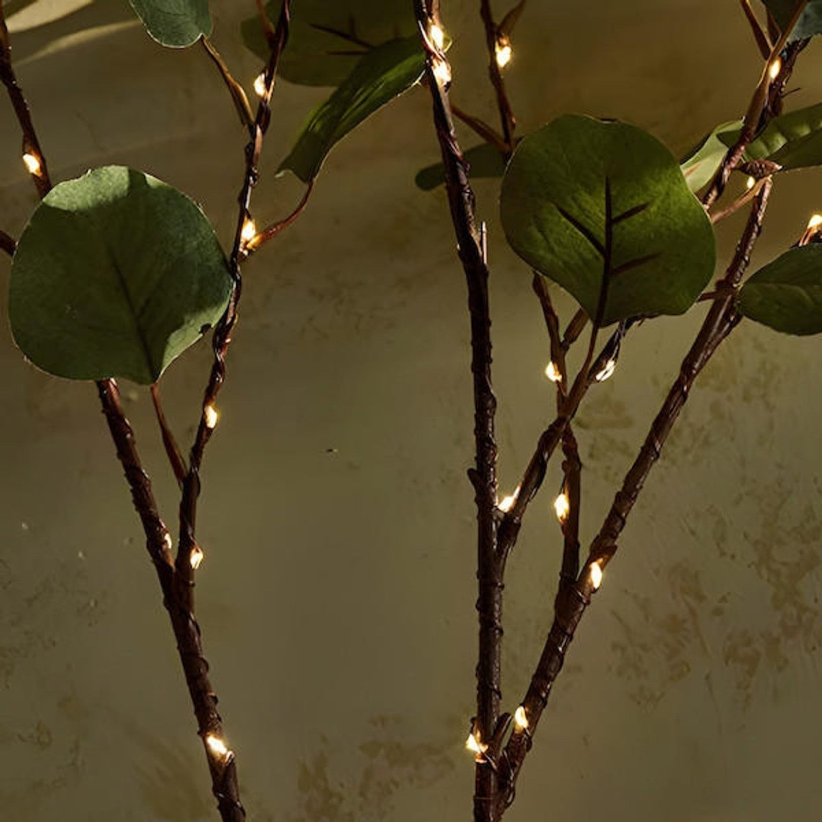 OLIVE BRANCH LED Light