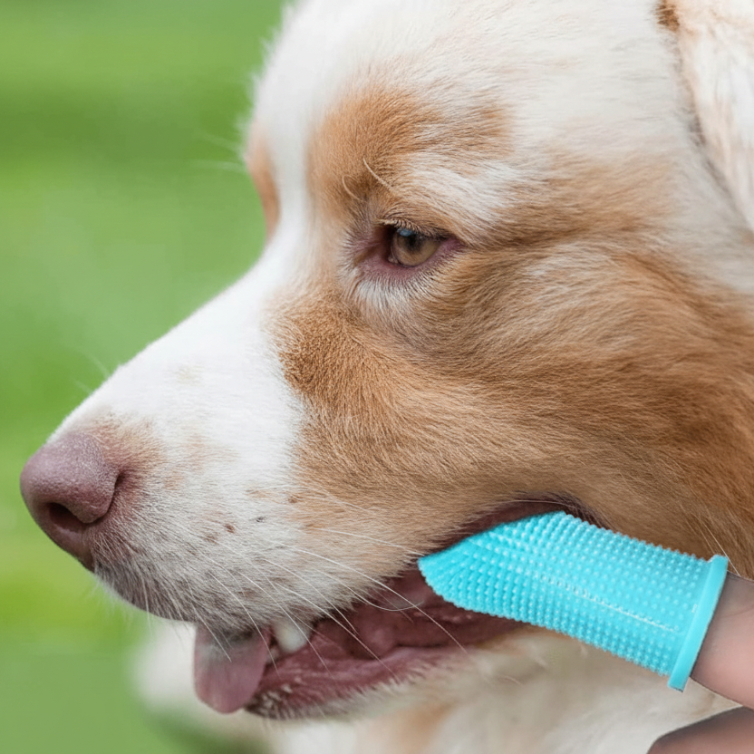 PAWCLEAN PRO 360 Silicone Finger Toothbrush