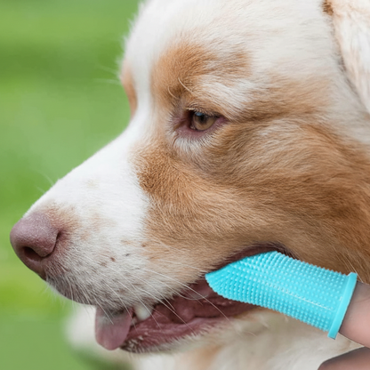 PAWCLEAN PRO 360 Silicone Finger Toothbrush
