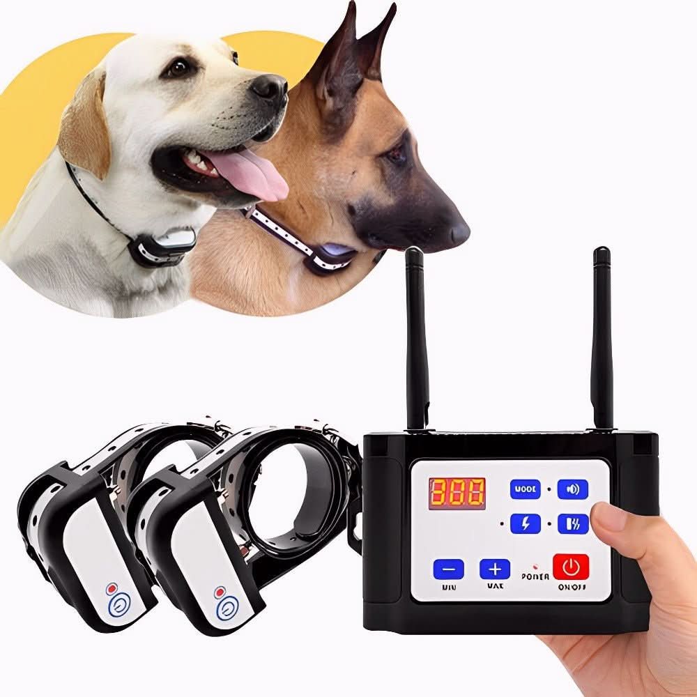 BARKZONE 300 Wireless Dog Fence & Training Collar System lifestyle image 3