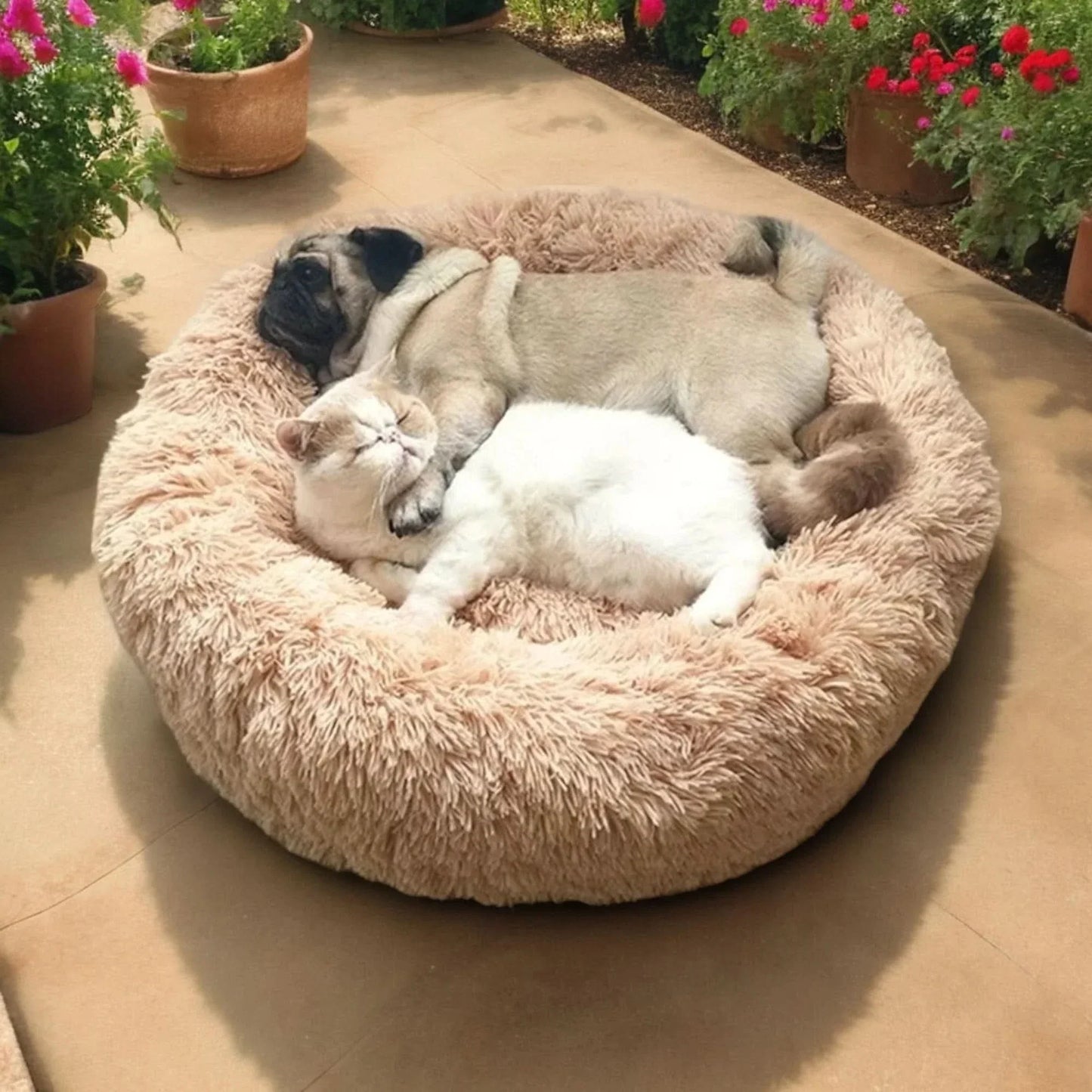 CALMING DOG Super Soft Dog Bed