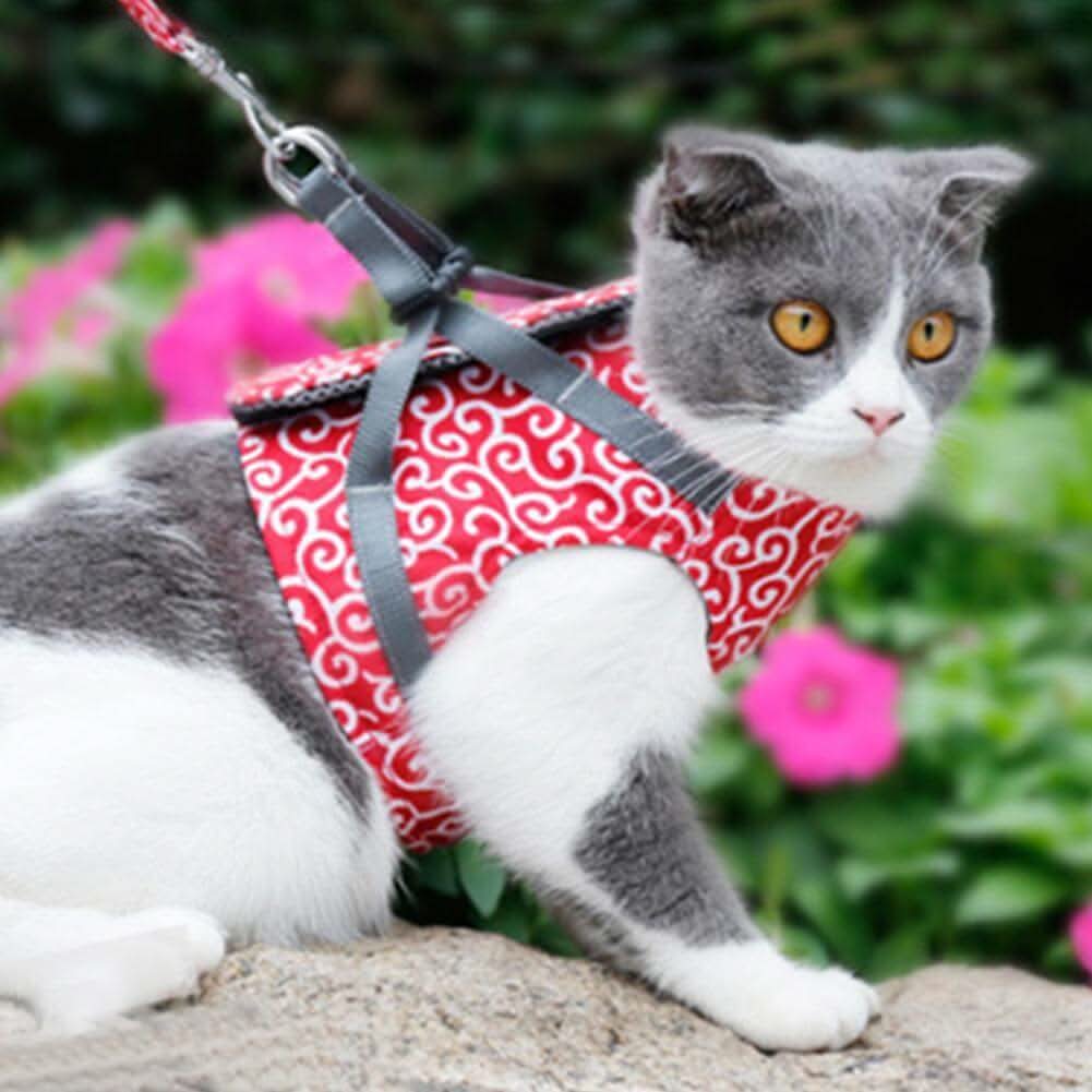 PAWVENTURE Cat Harness Vest lifestyle image 2