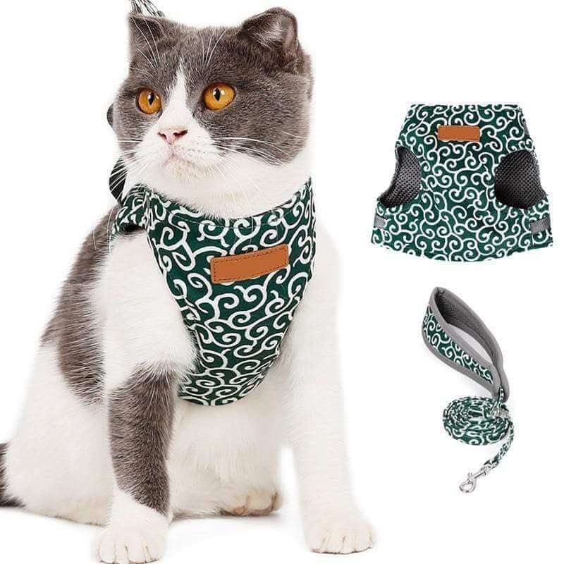 PAWVENTURE Cat Harness Vest lifestyle image 3