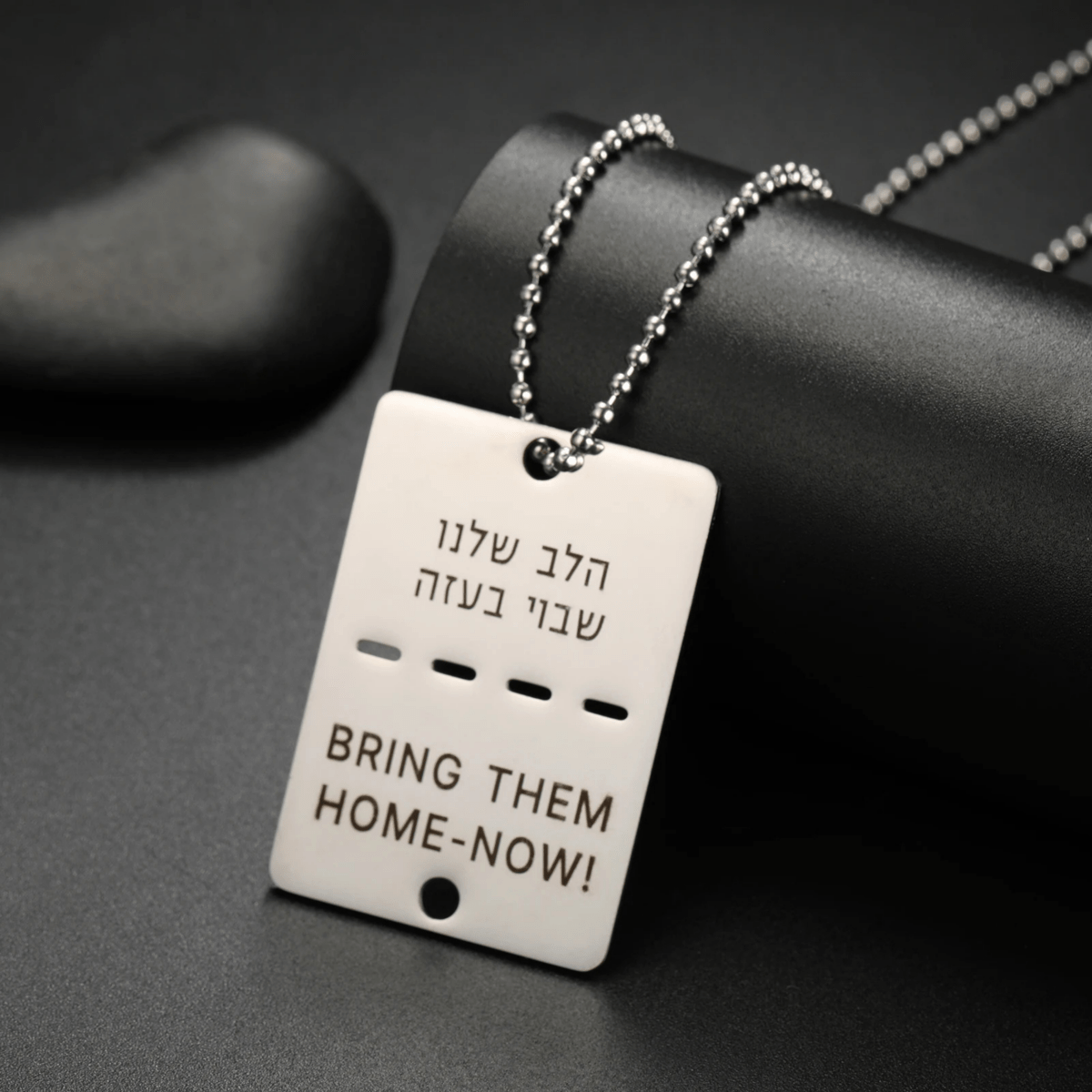 TAGNERO Stainless Steel Dog Chain