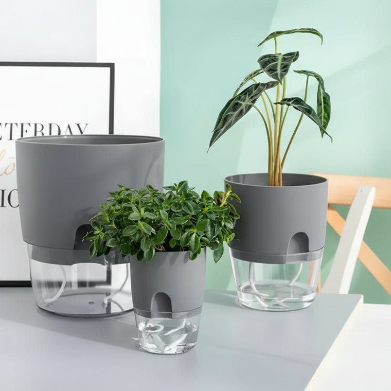 HYDROLOFT Hanging Indoor Water Culture Pot