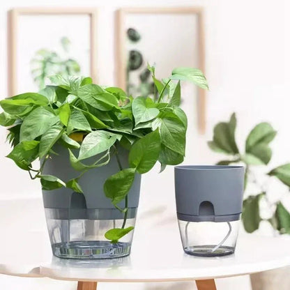 HYDROLOFT Hanging Indoor Water Culture Pot
