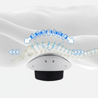 SPINEREVA Heat Light Wellness Device