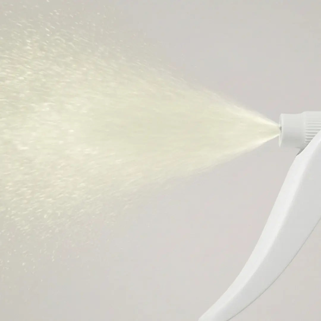 Rust Remover Spray, No Scrubbing Needed