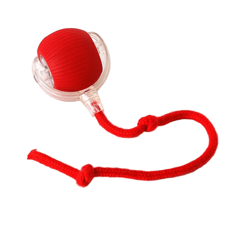 PLAYPET Interactive Dog Ball Rechargeable Bouncing Ball
