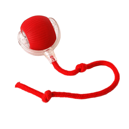 PLAYPET Interactive Dog Ball Rechargeable Bouncing Ball