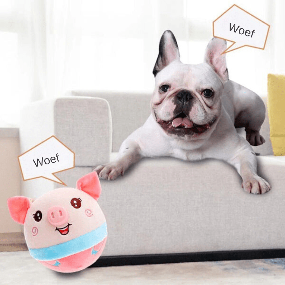 PAWSPHERE Intelligent SmartBall