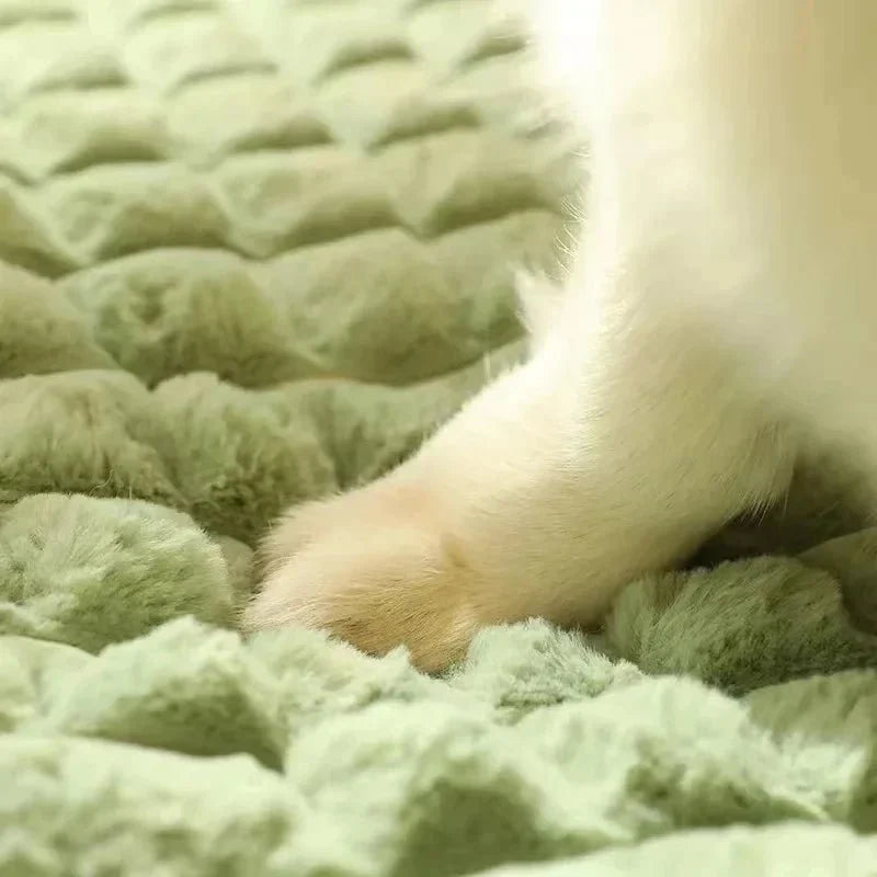PETSOFT Orthopedic Dog Bed