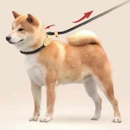 COLORLEASH Colorful Dog Leash