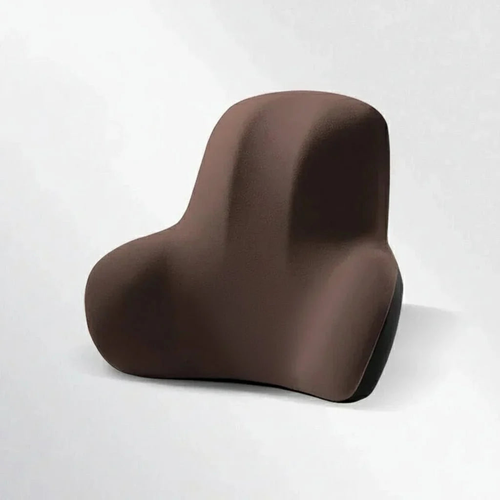 AUTOERGON Memory Foam Auto Neck & Lumbar Support