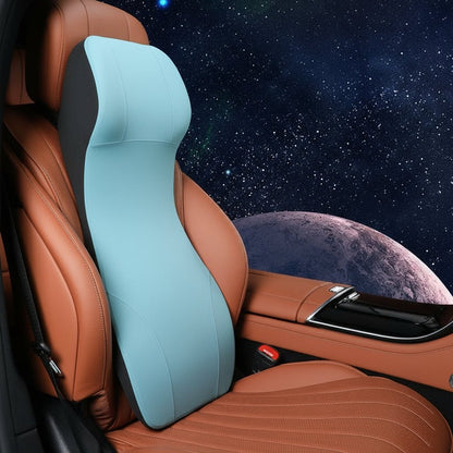ERGOCARVE Integrated Car Neck & Lumbar Support