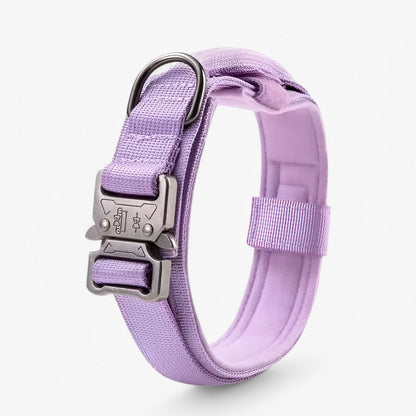 TACTICALK9 DOG COLLAR SET Durable