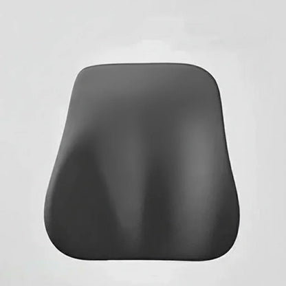MEMORIDE Memory Foam Car Neck & Lumbar Pillow