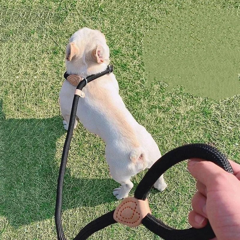 COLORLEASH Colorful Dog Leash