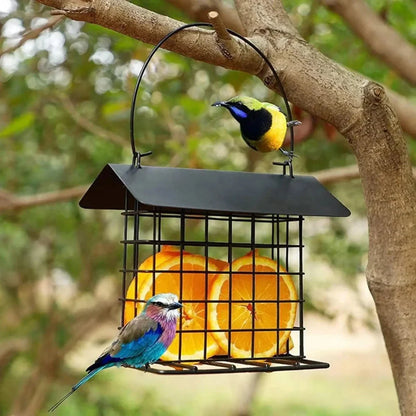 BIRDNESTER Hanging Bird Feeder