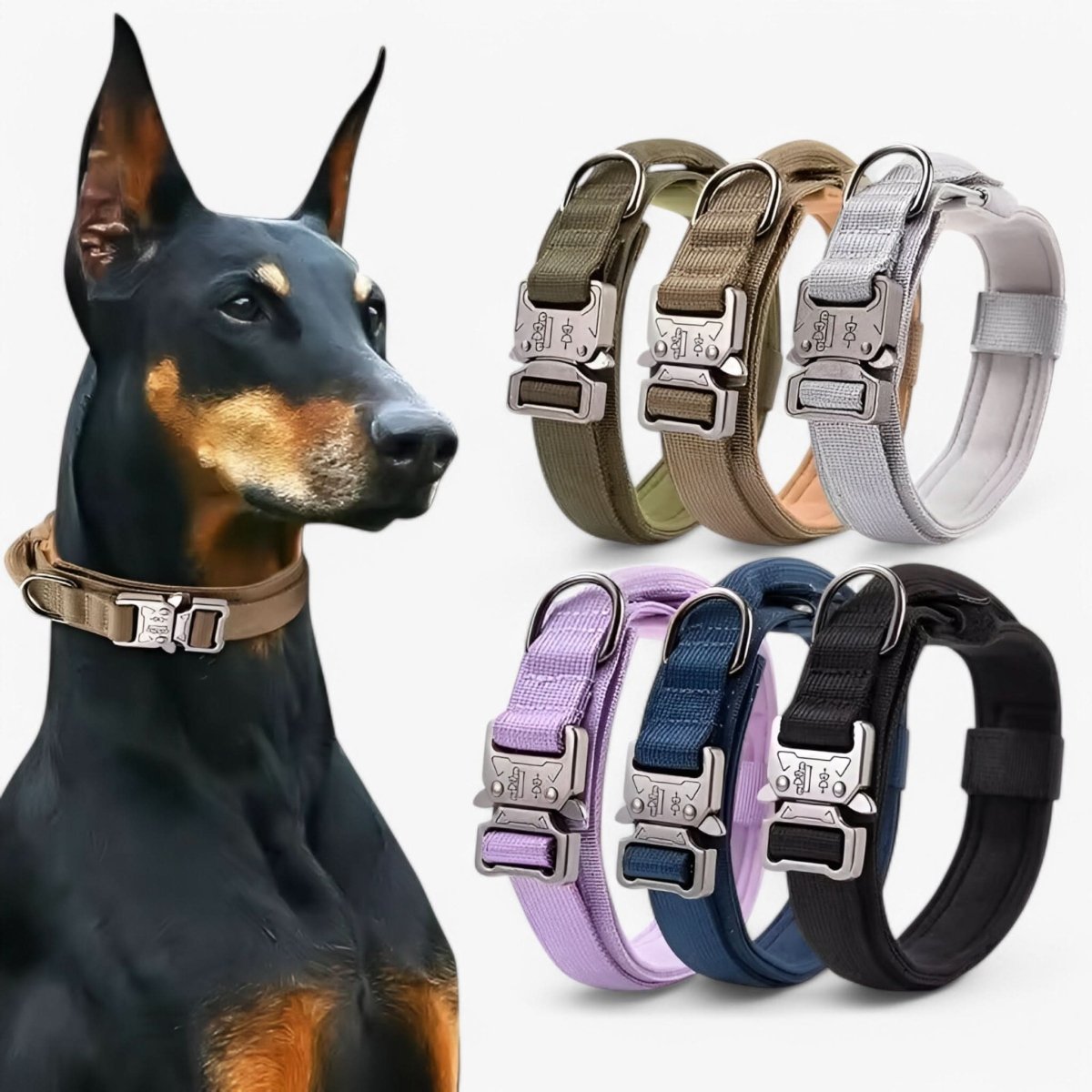 TACTICALK9 DOG COLLAR SET Durable