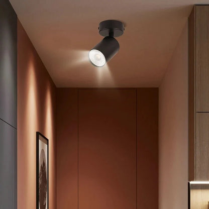 LumiBeam LED Spotlight