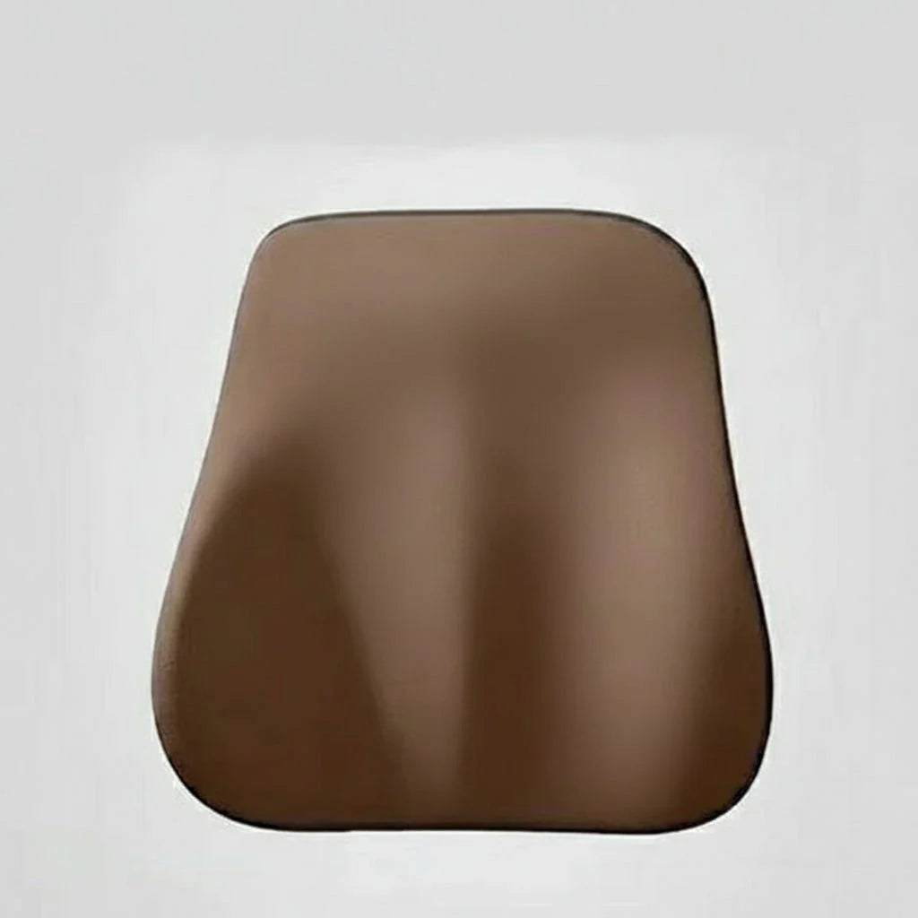 MEMORIDE Memory Foam Car Neck & Lumbar Pillow
