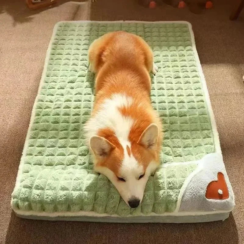 PETSOFT Orthopedic Dog Bed