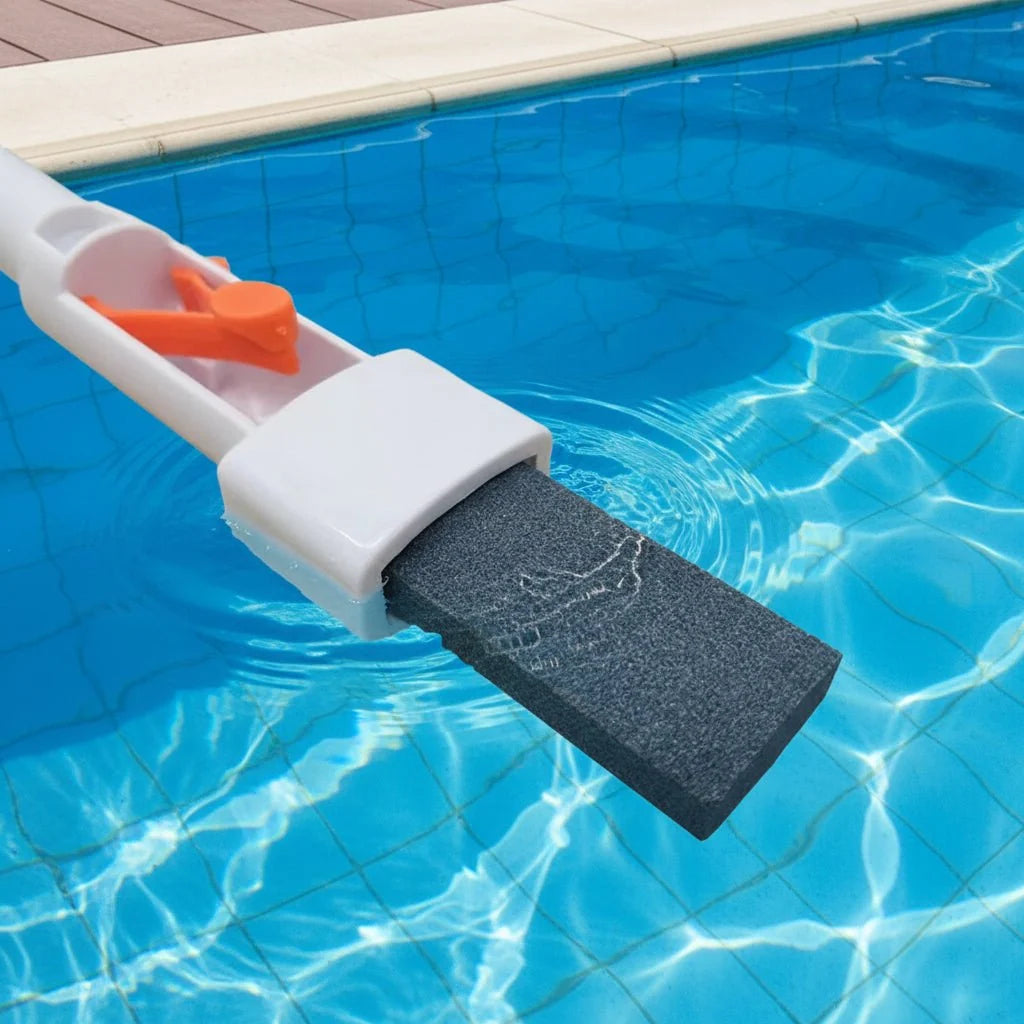 CALCICLEAN Pool Pumice Stone Cleaner
