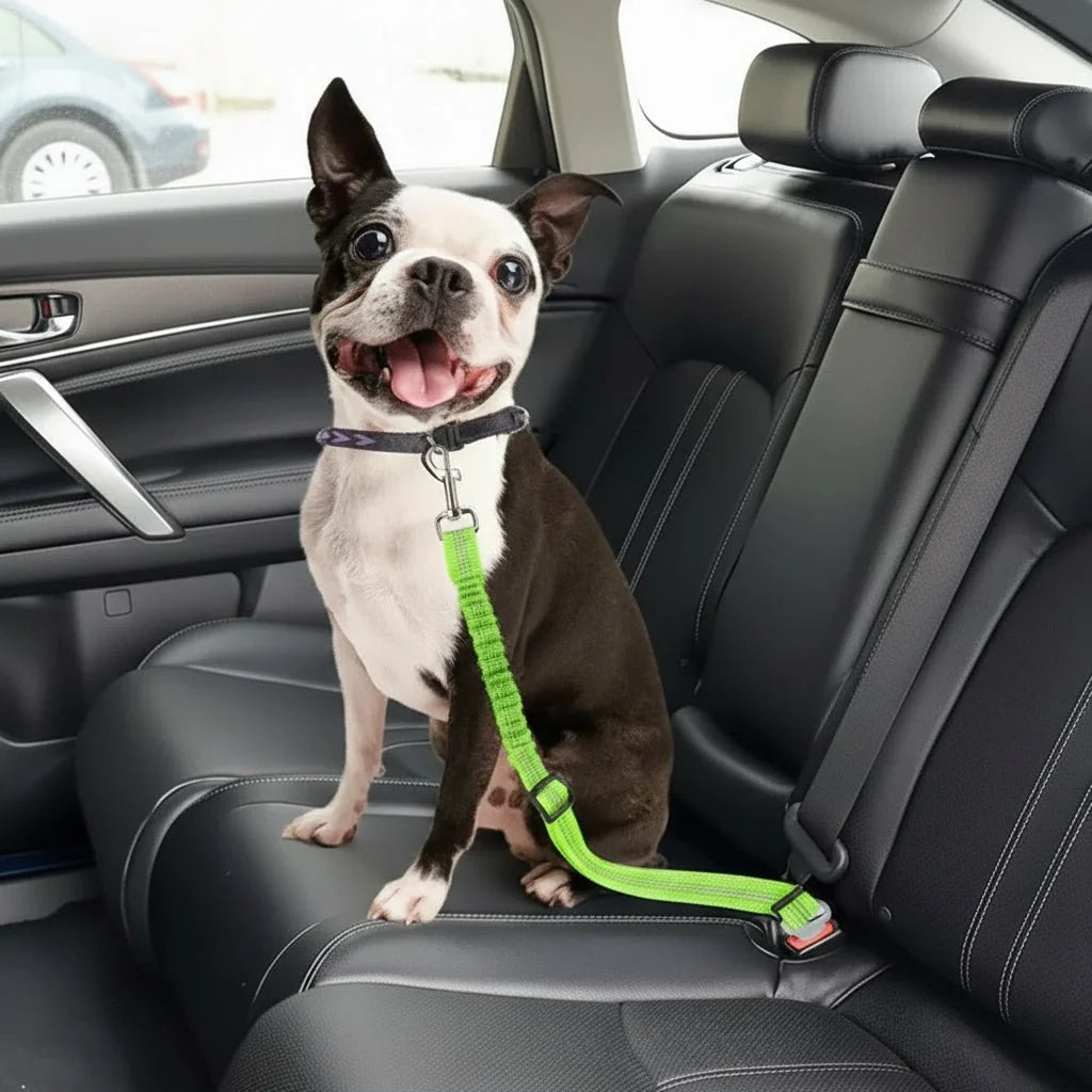 SAFETAIL Adjustable Safety Belt for Dogs