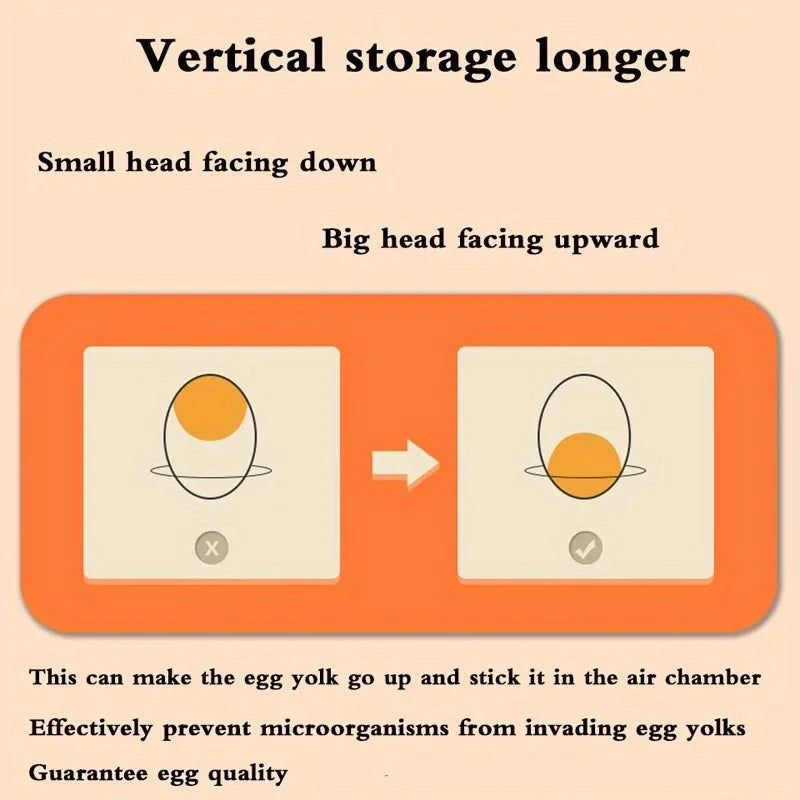 EGGSTACK 2-layer Refrigerator Egg Box