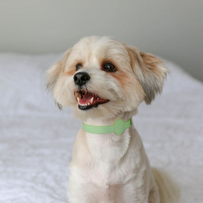 TAGSAFE Dog Collar