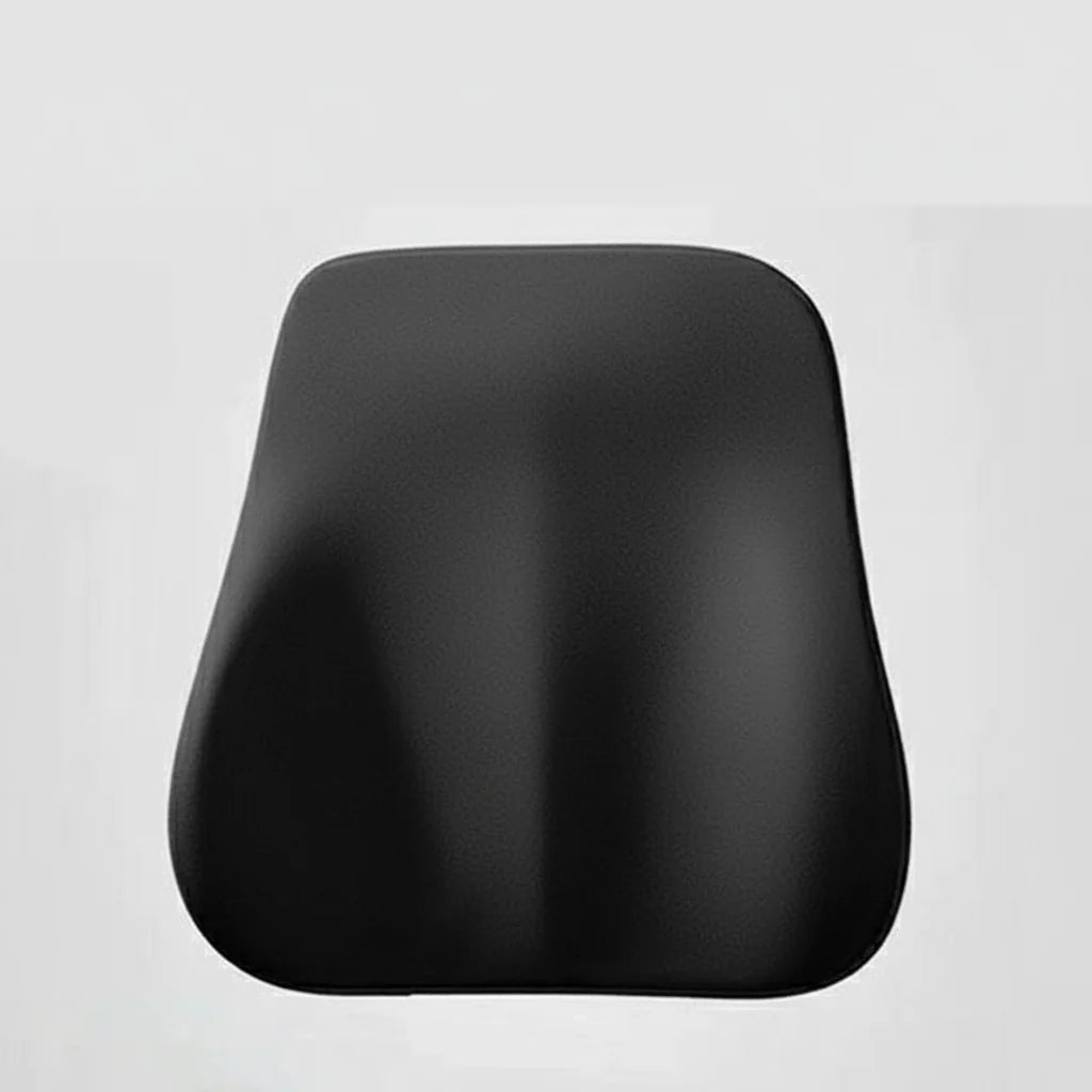 MEMORIDE Memory Foam Car Neck & Lumbar Pillow