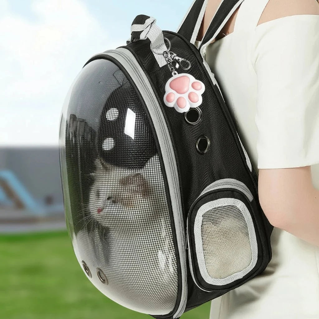 FELIFUN Interactive Cat Laser Toy