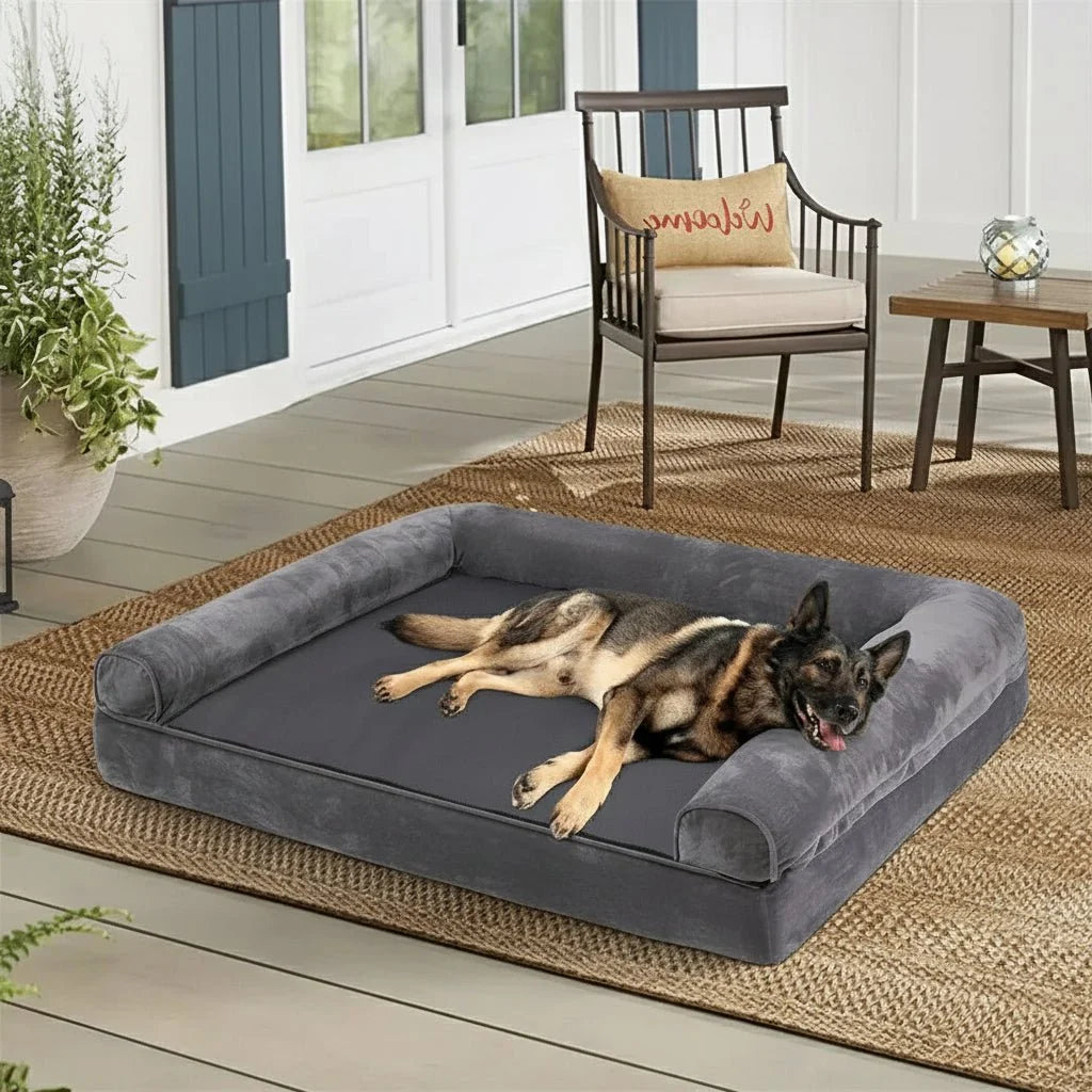 FURSUITE Orthopedic Foam Sponge Couch Bed