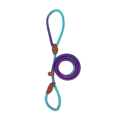 COLORLEASH Colorful Dog Leash