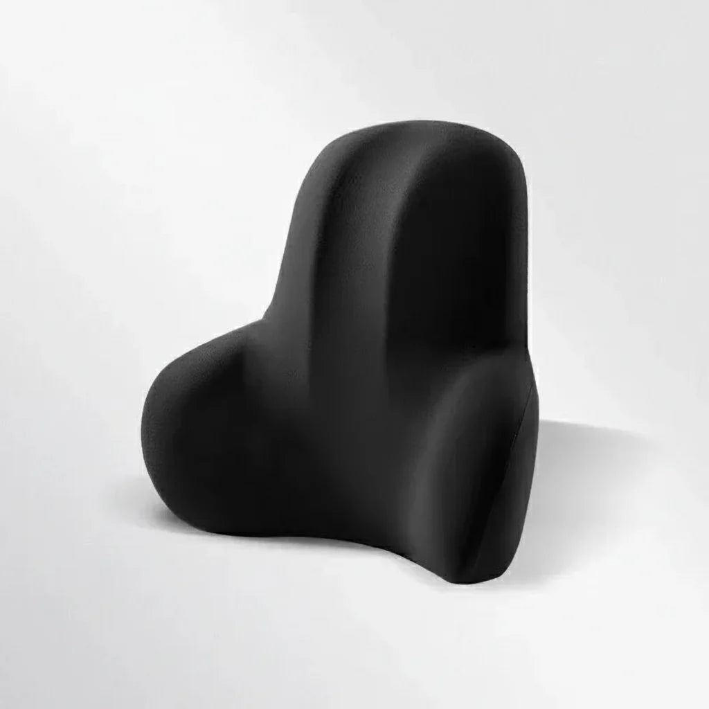 AUTOERGON Memory Foam Auto Neck & Lumbar Support